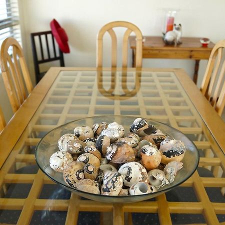 Summer Place B&B Agulhas Εξωτερικό φωτογραφία